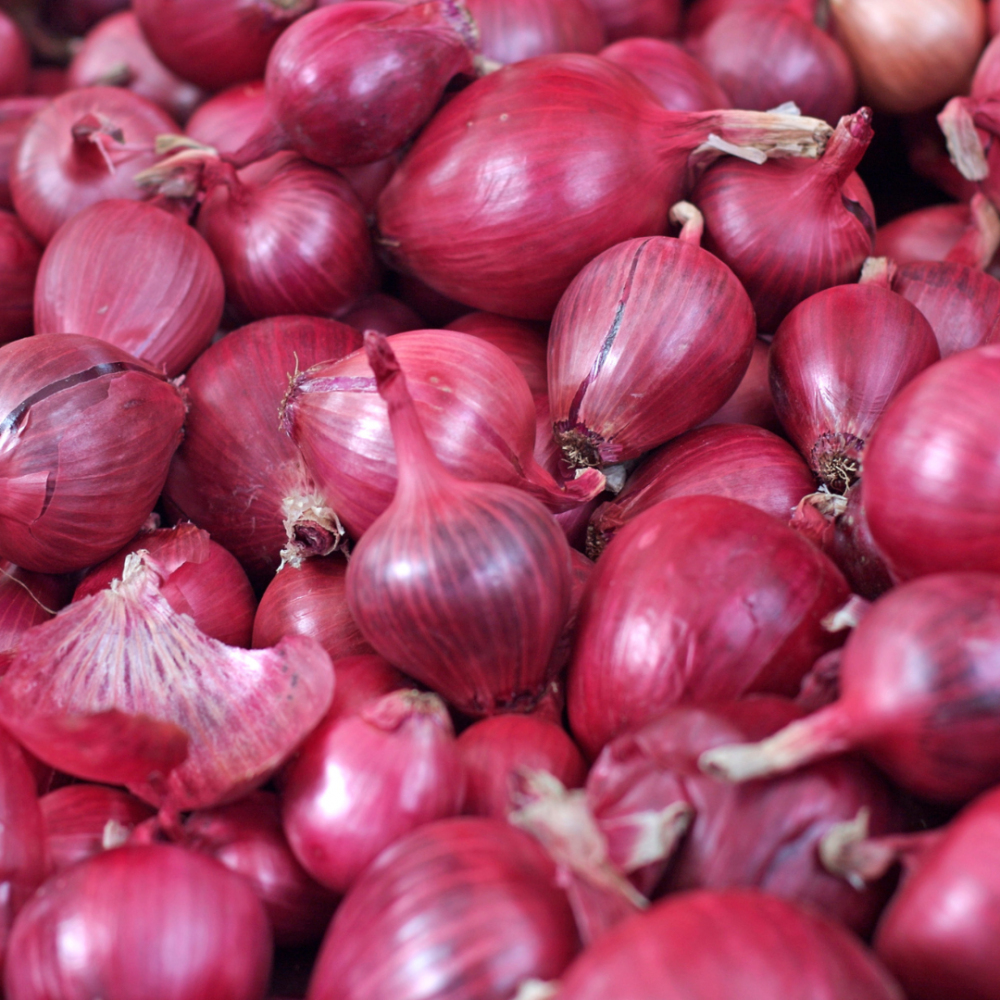 Onion